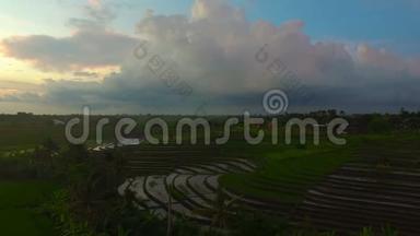 日落时稻田和巴厘岛的空中风景视频
